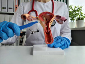 Labioplasti Ameliyatı