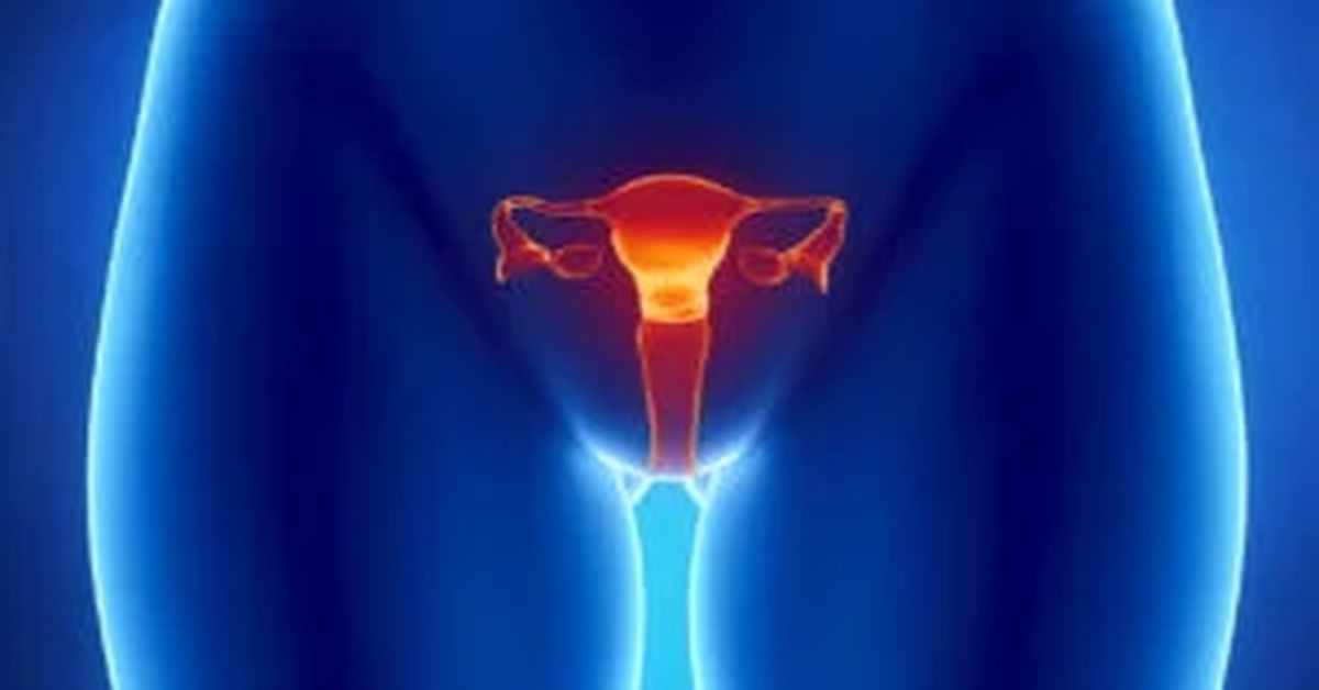 What is Vaginal Prolapse?