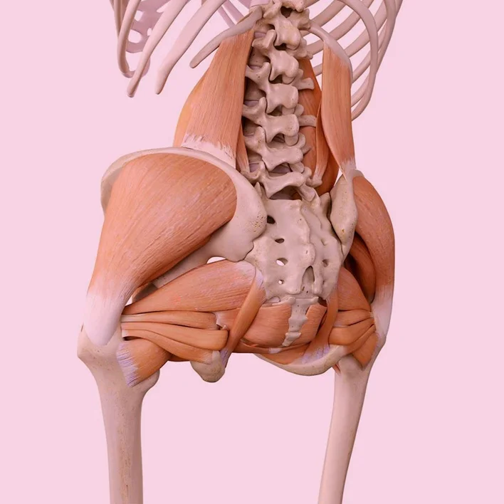 Pelvic Floor Dysfunction