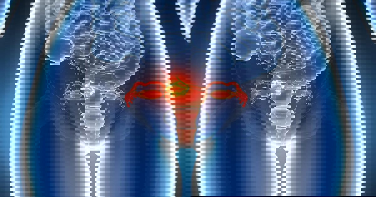 Rahim Sarkması Tedavisi Rahim Sarkması Tedavisi